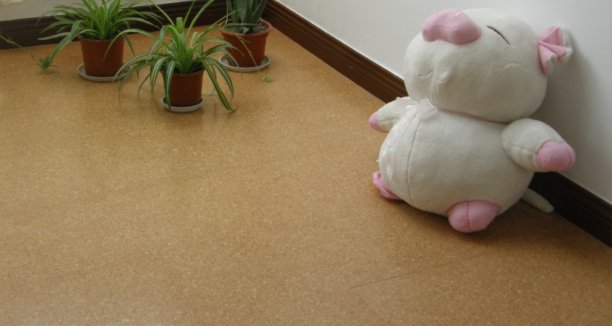 軟木地板的優(yōu)勢(shì)是什么，中林帶你了解一下！